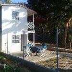 Isla Fuerte Cabana La Cocoroquera